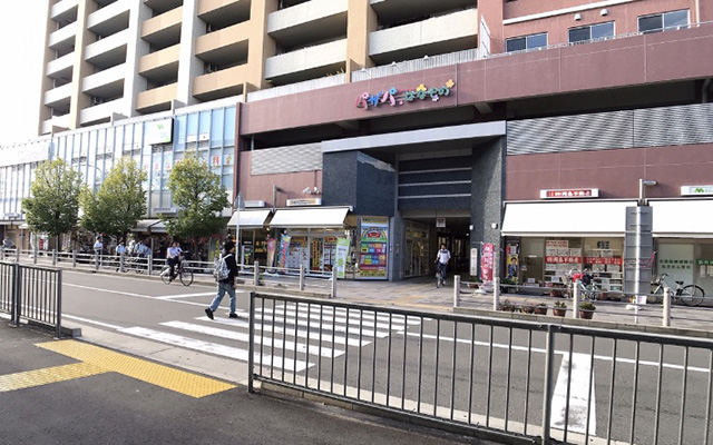 パザパはなぞの